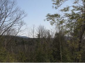 Lot#1 South Road Newbury, NH 03255 - Photo 6 of 11
