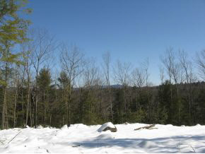 Lot#1 South Road Newbury, NH 03255 - Photo 7 of 11