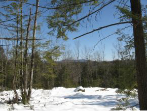Lot#1 South Road Newbury, NH 03255 - Photo 8 of 11
