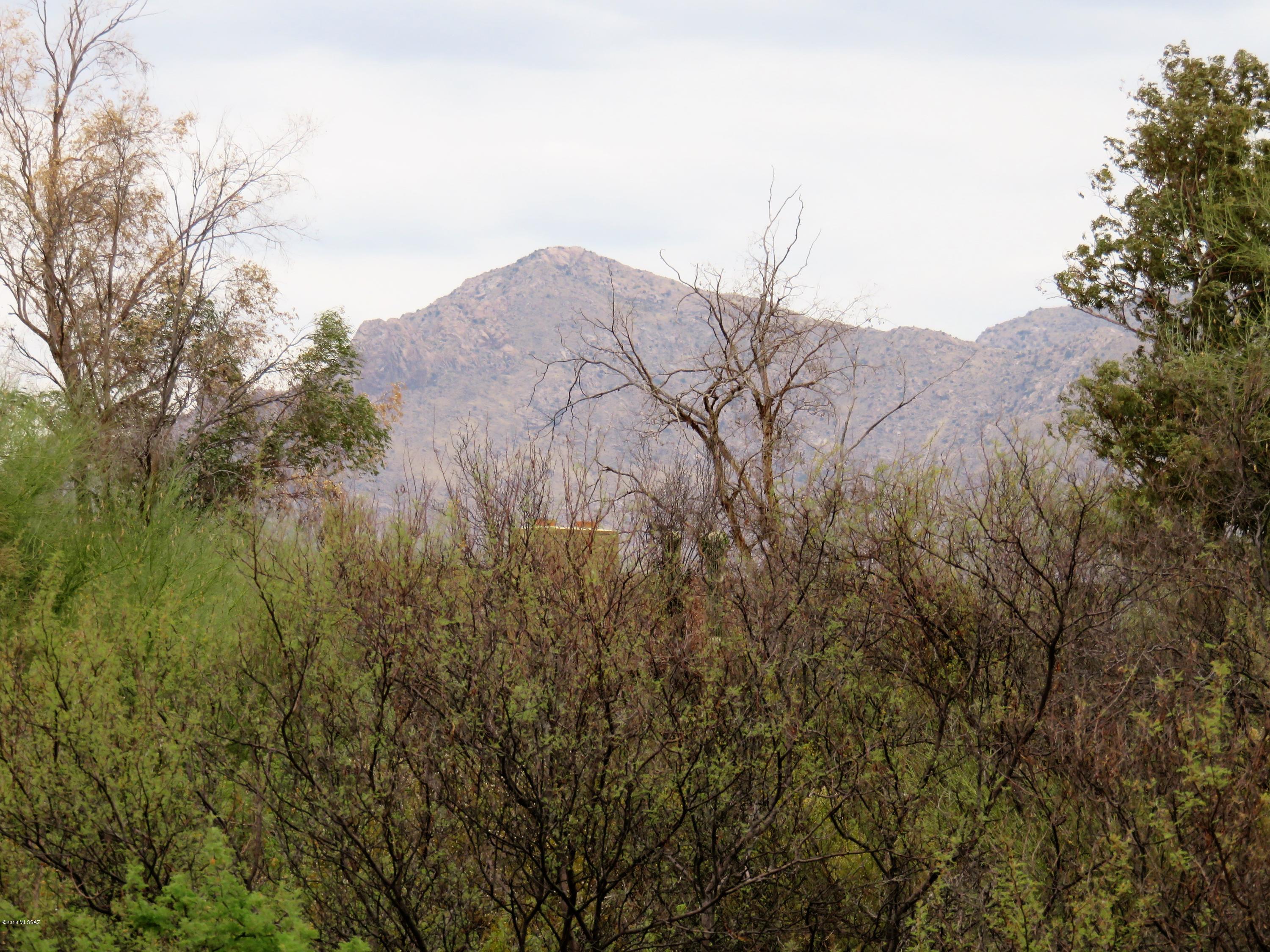 786 West Las Lomitas Road Tucson, AZ 85704 - Photo 29 of 29