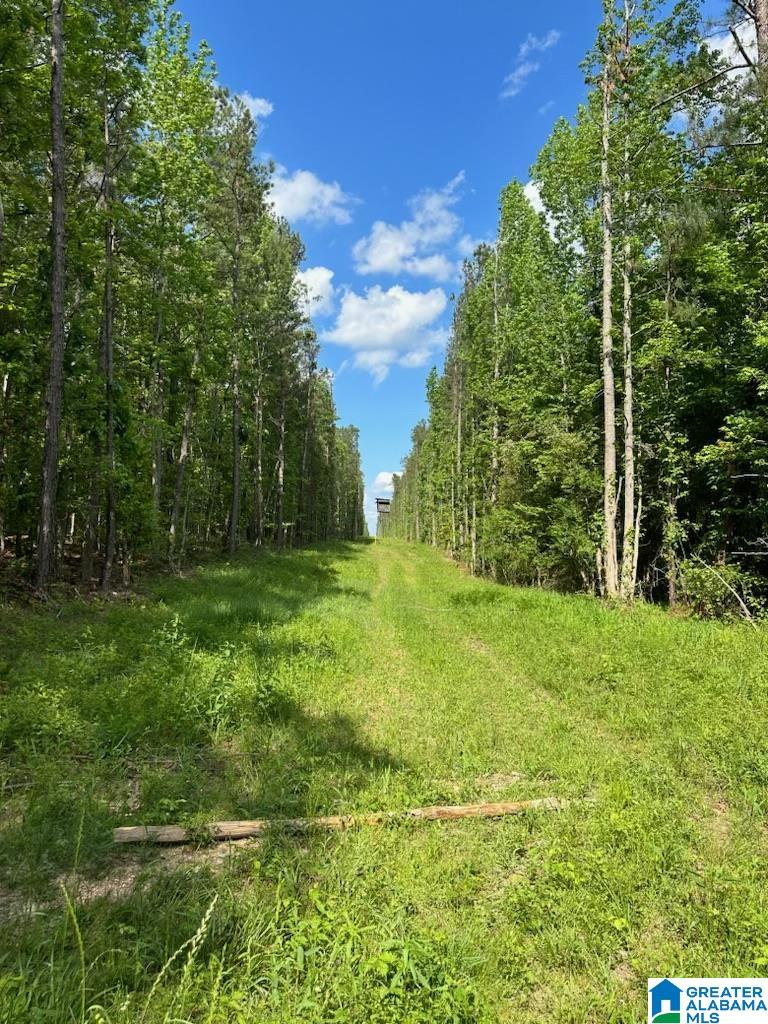 Fleming Road, Unit 1 Vincent, AL 35178 - Photo 10 of 10