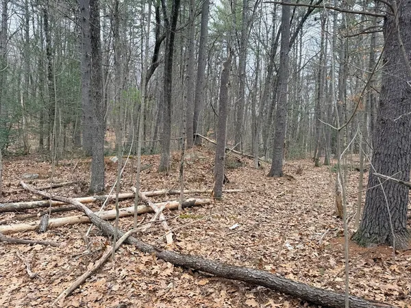 a view of outdoor space with lots of trees