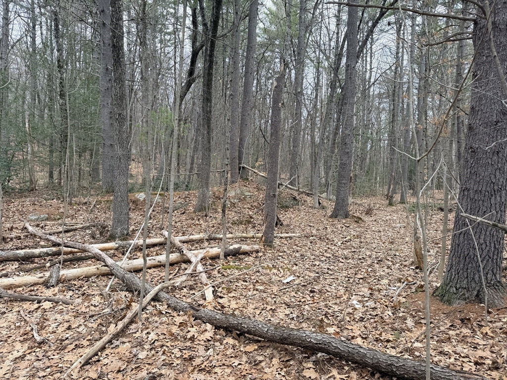 201 New West Townsend Road Lunenburg, MA 01462 - Photo 2 of 11 a view of outdoor space with lots of trees