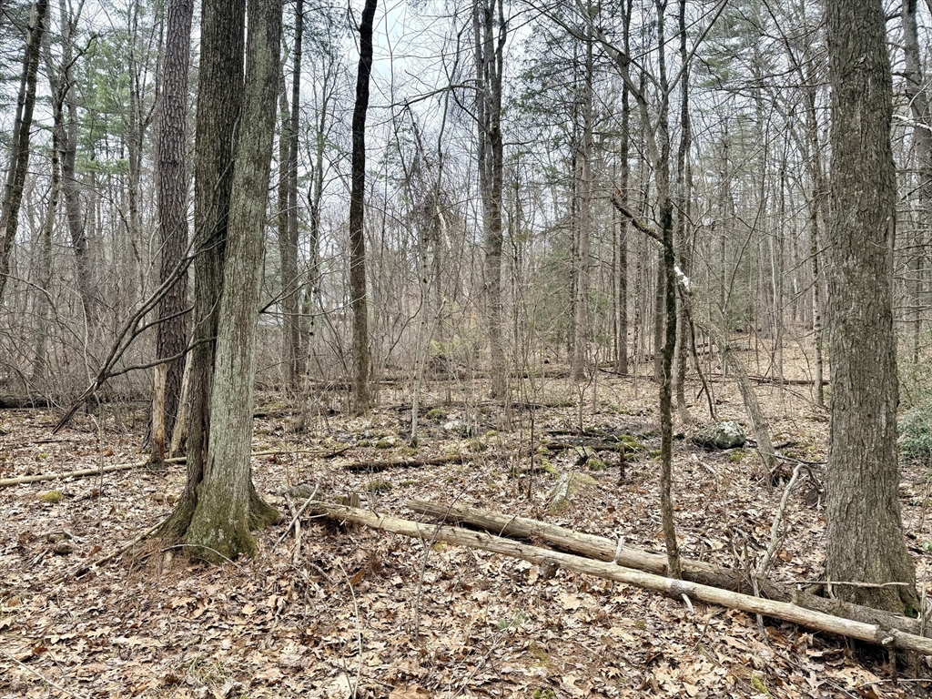 201 New West Townsend Road Lunenburg, MA 01462 - Photo 4 of 11 a view of a yard with trees