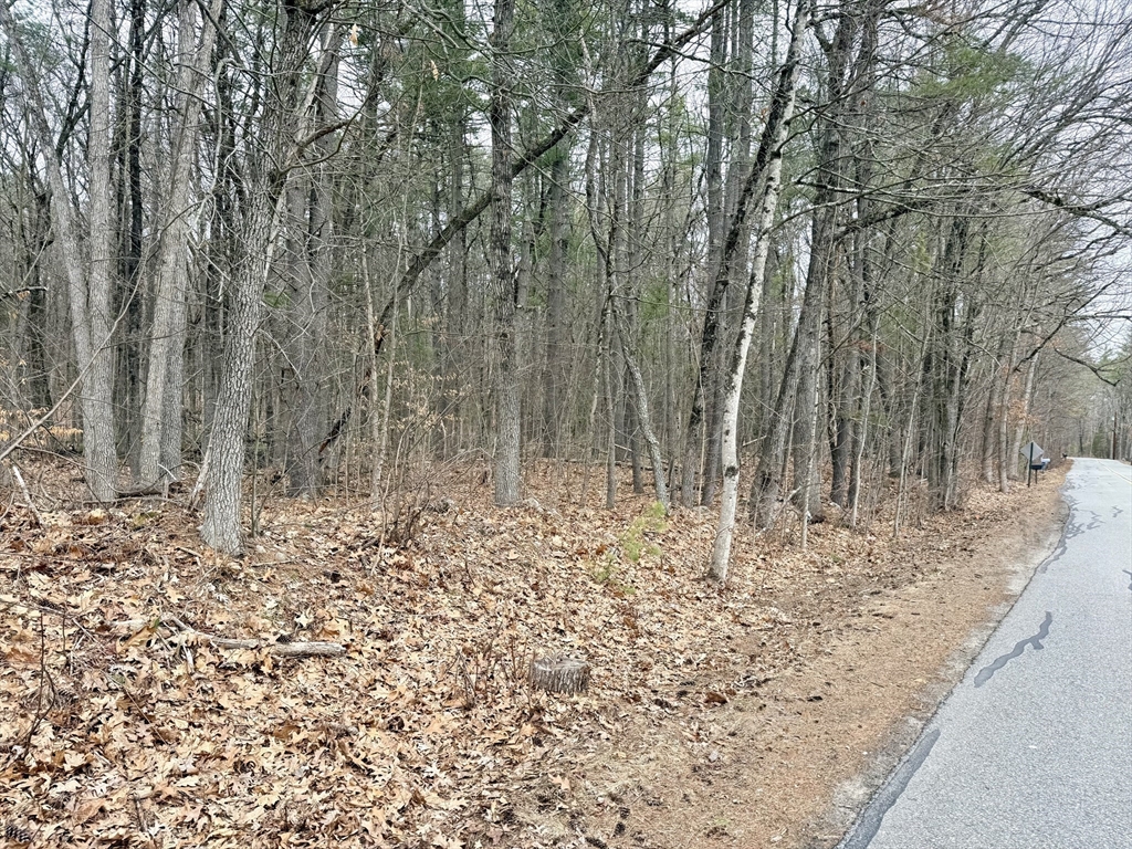 201 New West Townsend Road Lunenburg, MA 01462 - Photo 5 of 11 a view of a backyard of the house