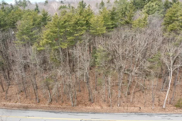 a view of a backyard with trees