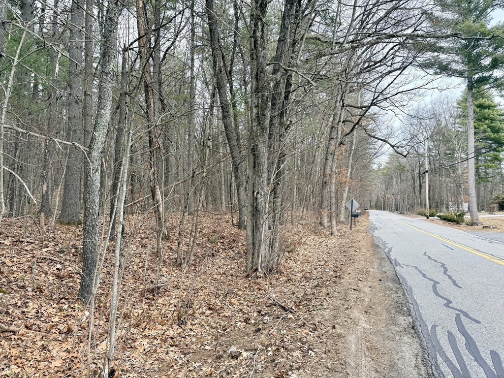 201 New West Townsend Road Lunenburg, MA 01462 - Photo 9 of 11 a view of a yard with trees