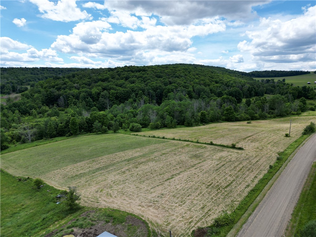 2797 Gunn Road Troupsburg, NY 14885 - Photo 44 of 50