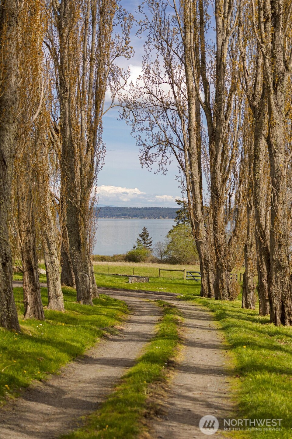 2553 A Cattle Point Road Friday Harbor, WA 98250 - Photo 11 of 15