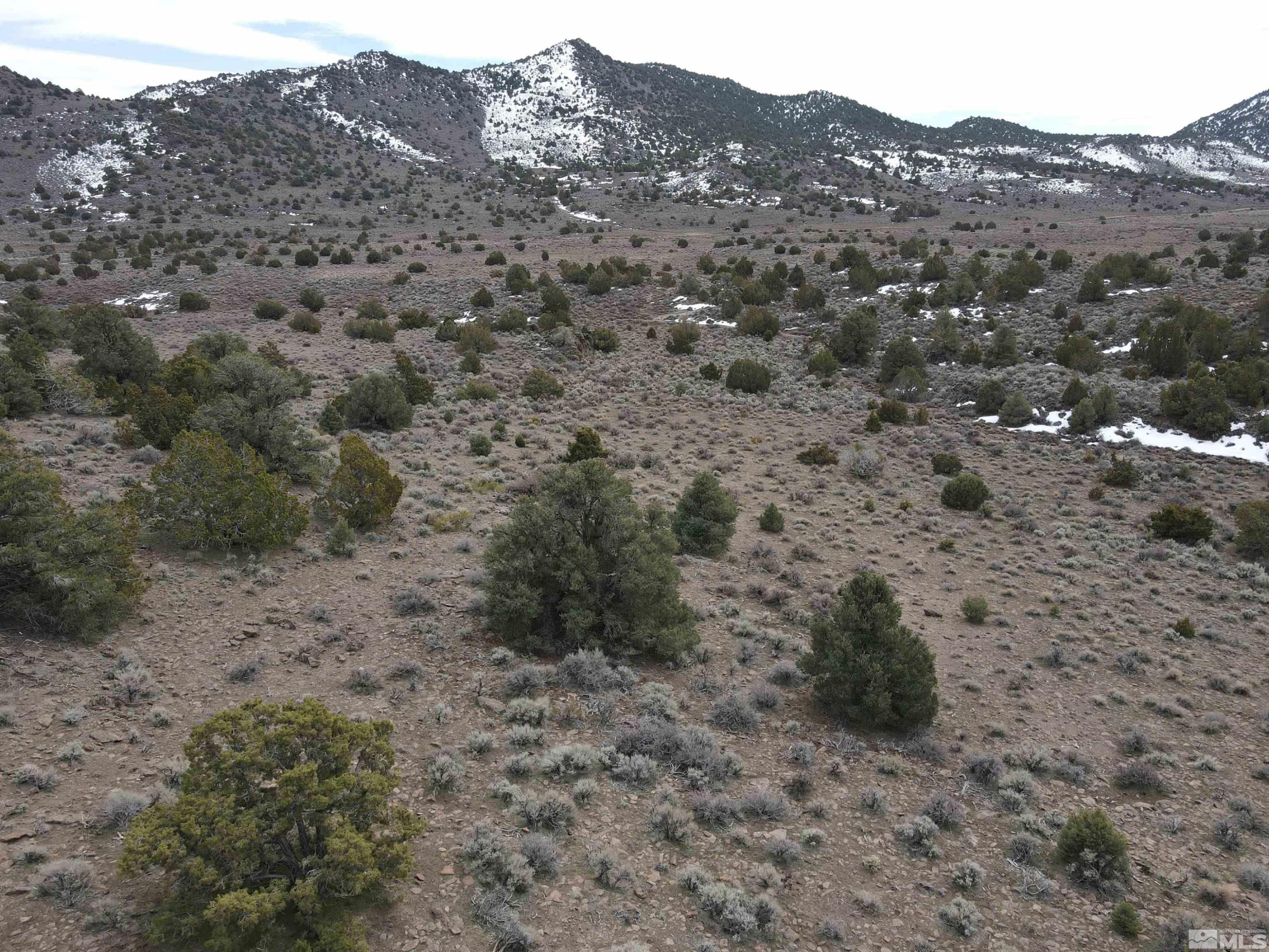4490 Lousetown Road Reno, NV 89521 - Photo 7 of 11 a view of a dry field with mountains in the background