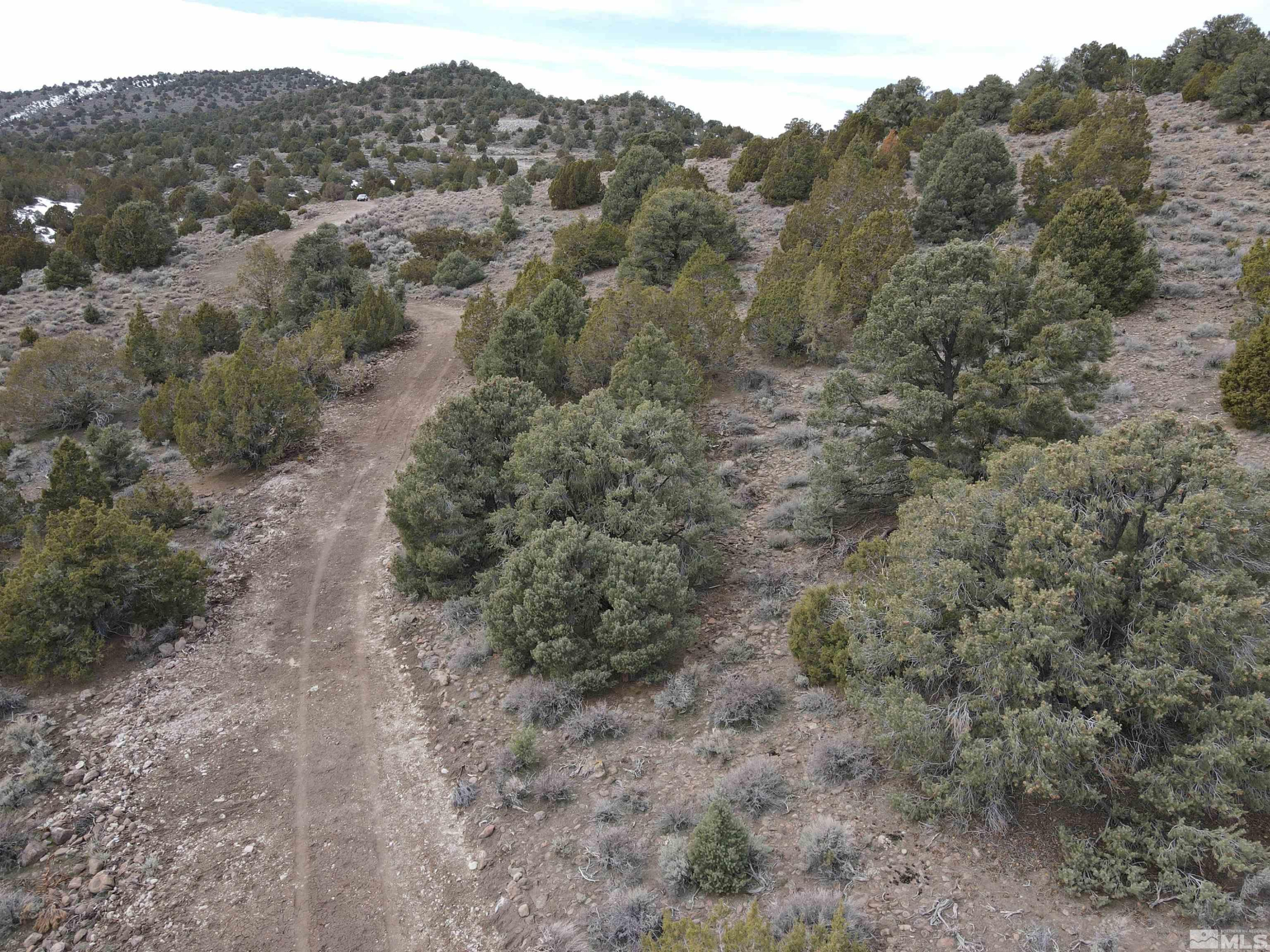 4490 Lousetown Road Reno, NV 89521 - Photo 8 of 11 a view of a forest with trees in the background