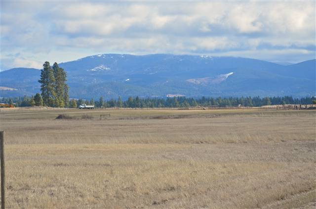7307 East Orchard Bluff Road Chattaroy, WA 99003 - Photo 1 of 7 Gallery Image 1