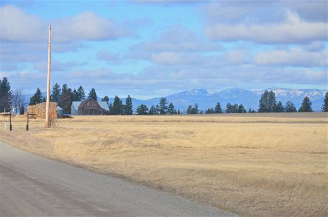 7307 East Orchard Bluff Road Chattaroy, WA 99003 - Photo 4 of 7 Gallery Image 4