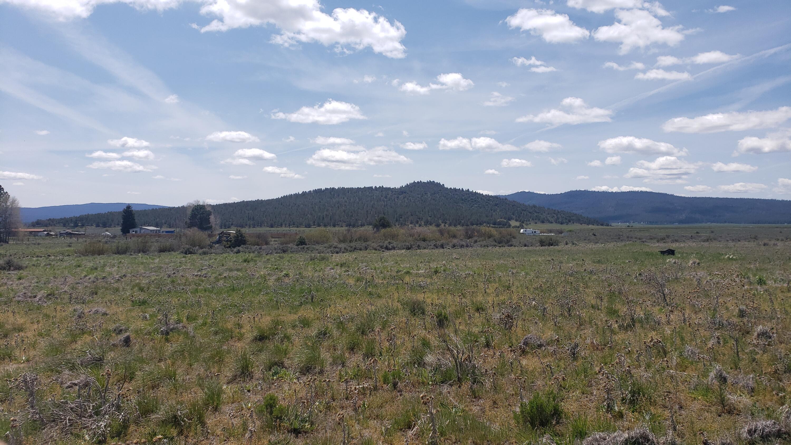 Lot 1100 Drews Road Chiloquin, OR 97624 - Photo 2 of 10 20220523_124008