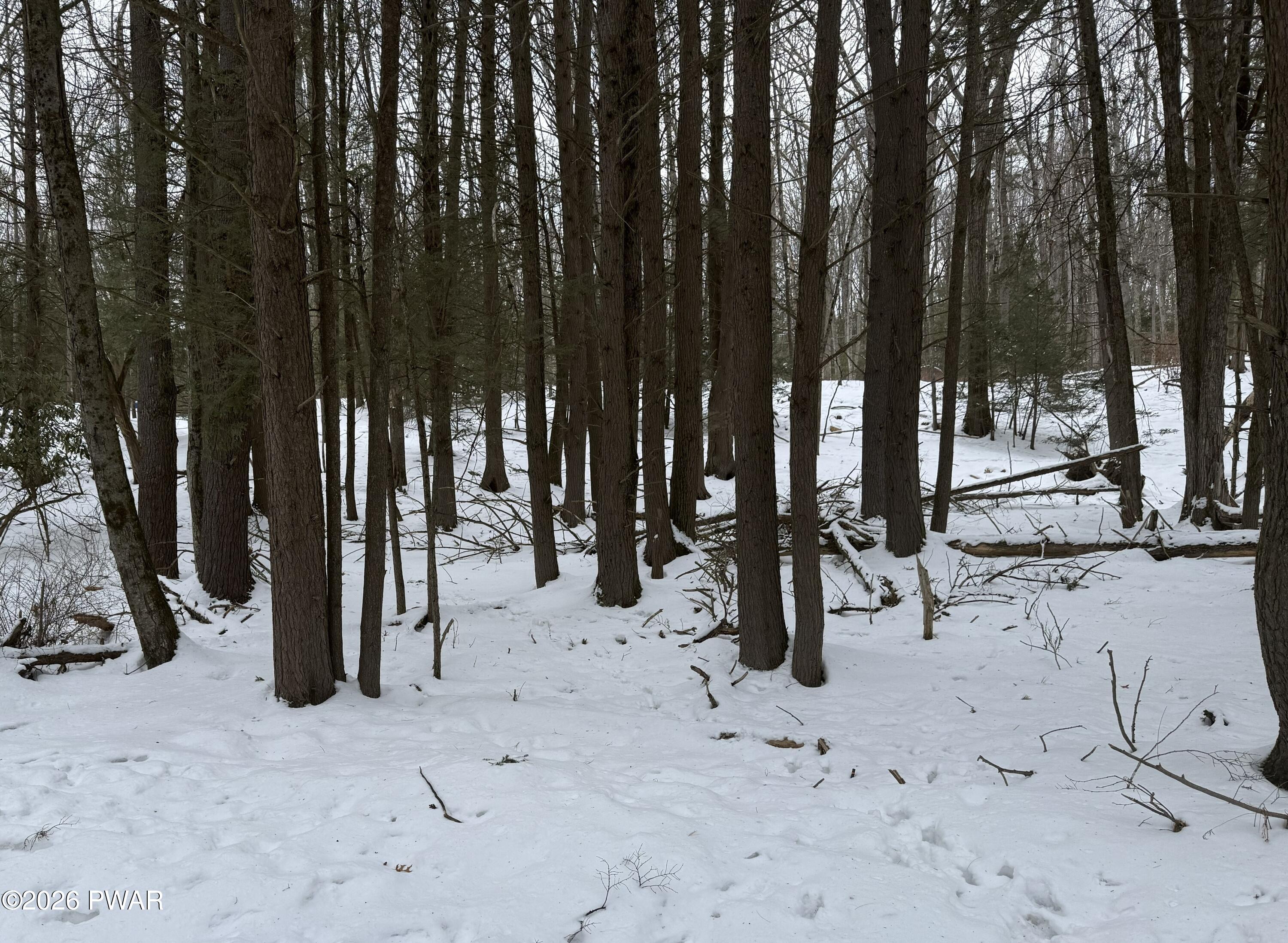 Watermill Road Paupack, PA 18451 - Photo 3 of 3