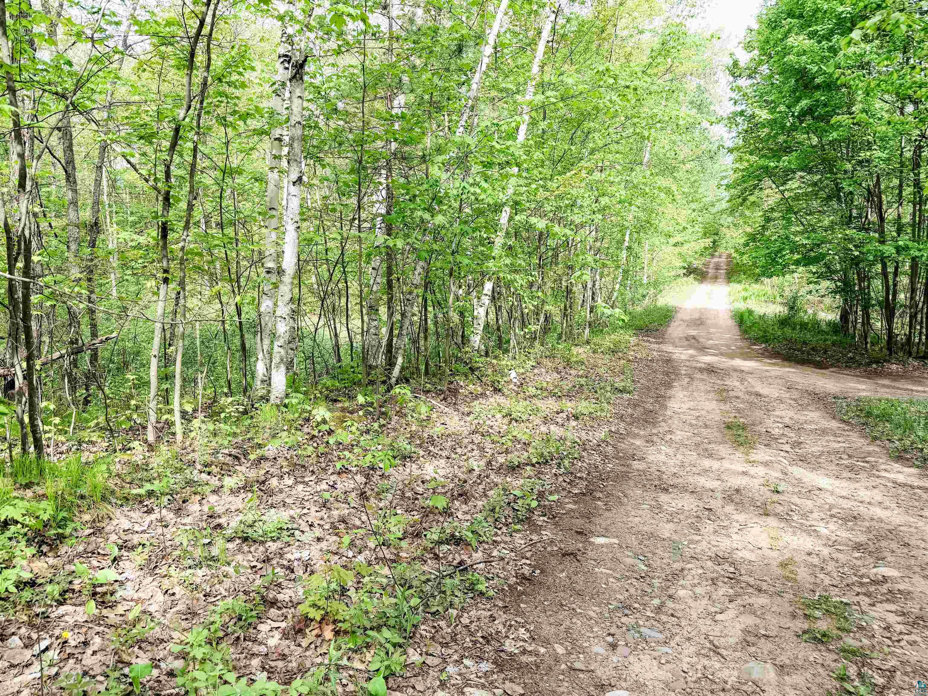 Lot 2 Peterson Road Minong, WI 54859 - Photo 4 of 5