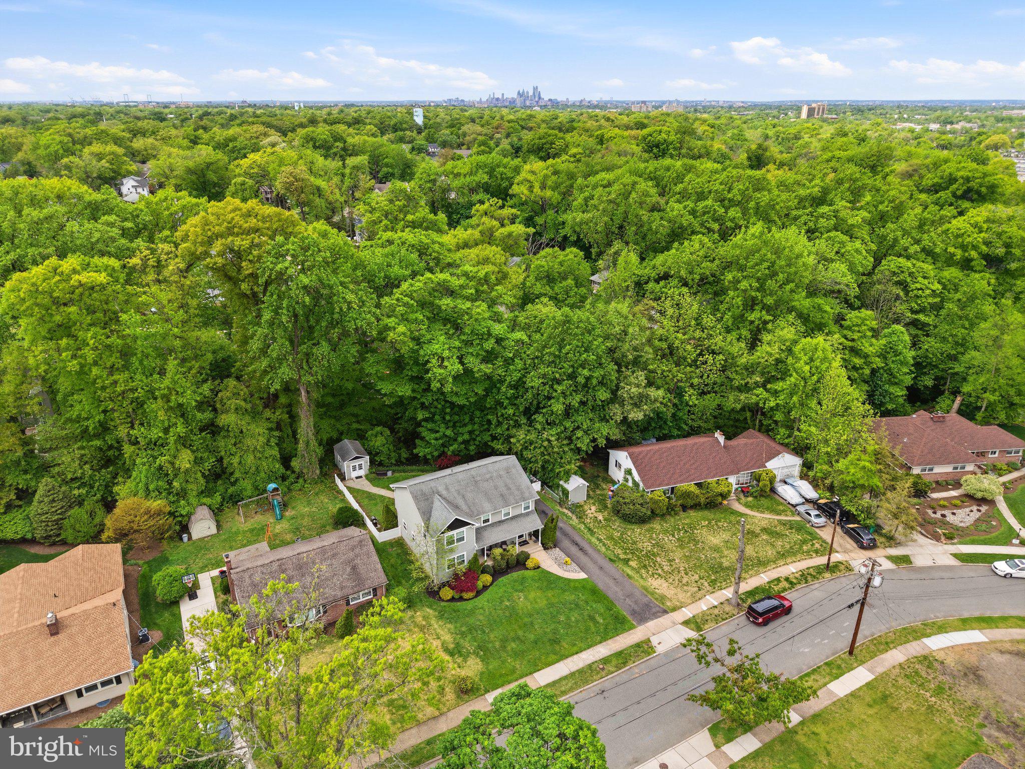 840 Cedar Avenue Haddonfield, NJ 08033 - Photo 45 of 49 Serene suburban retreat amidst greenery.
