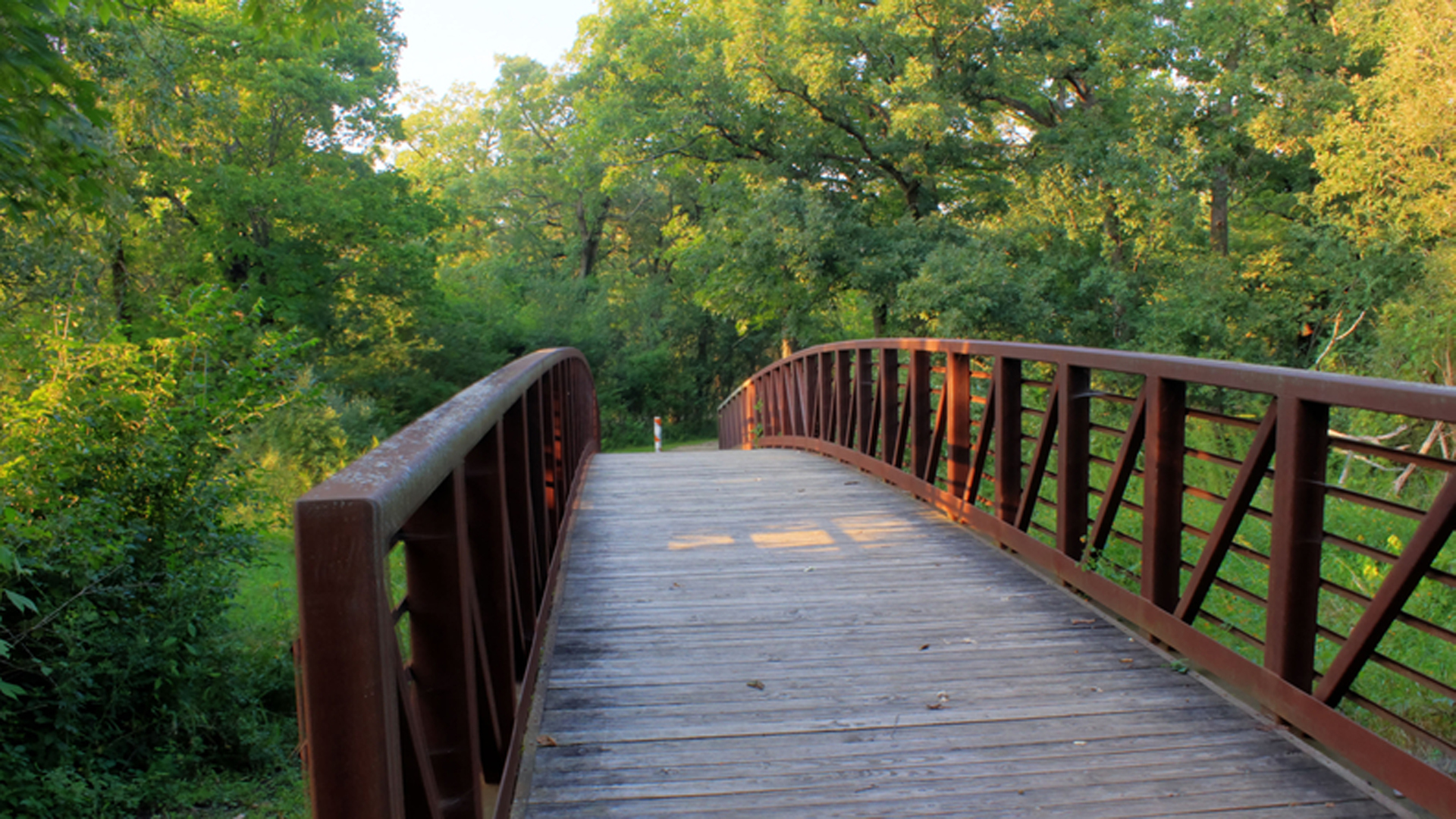 527 Red Oak Circle, Unit 2202 Volo, IL 60020 - Photo 5 of 8 a balcony with wooden floor and trees in the back