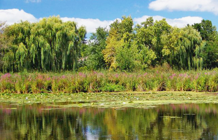 527 Red Oak Circle, Unit 2202 Volo, IL 60020 - Photo 7 of 8 a view of lake view