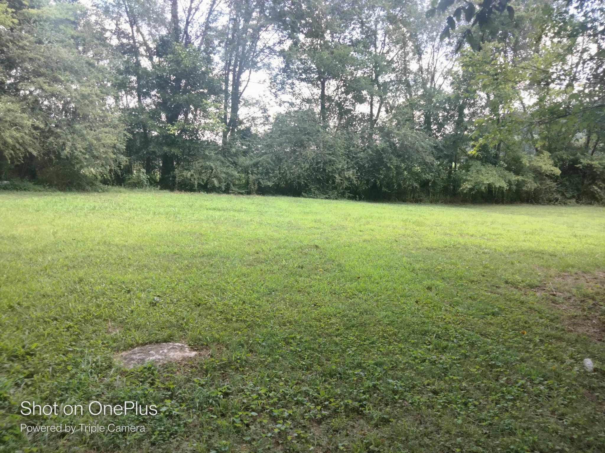 2849 McKnight Road Culleoka, TN 38451 - Photo 13 of 13 Gallery Image 13
