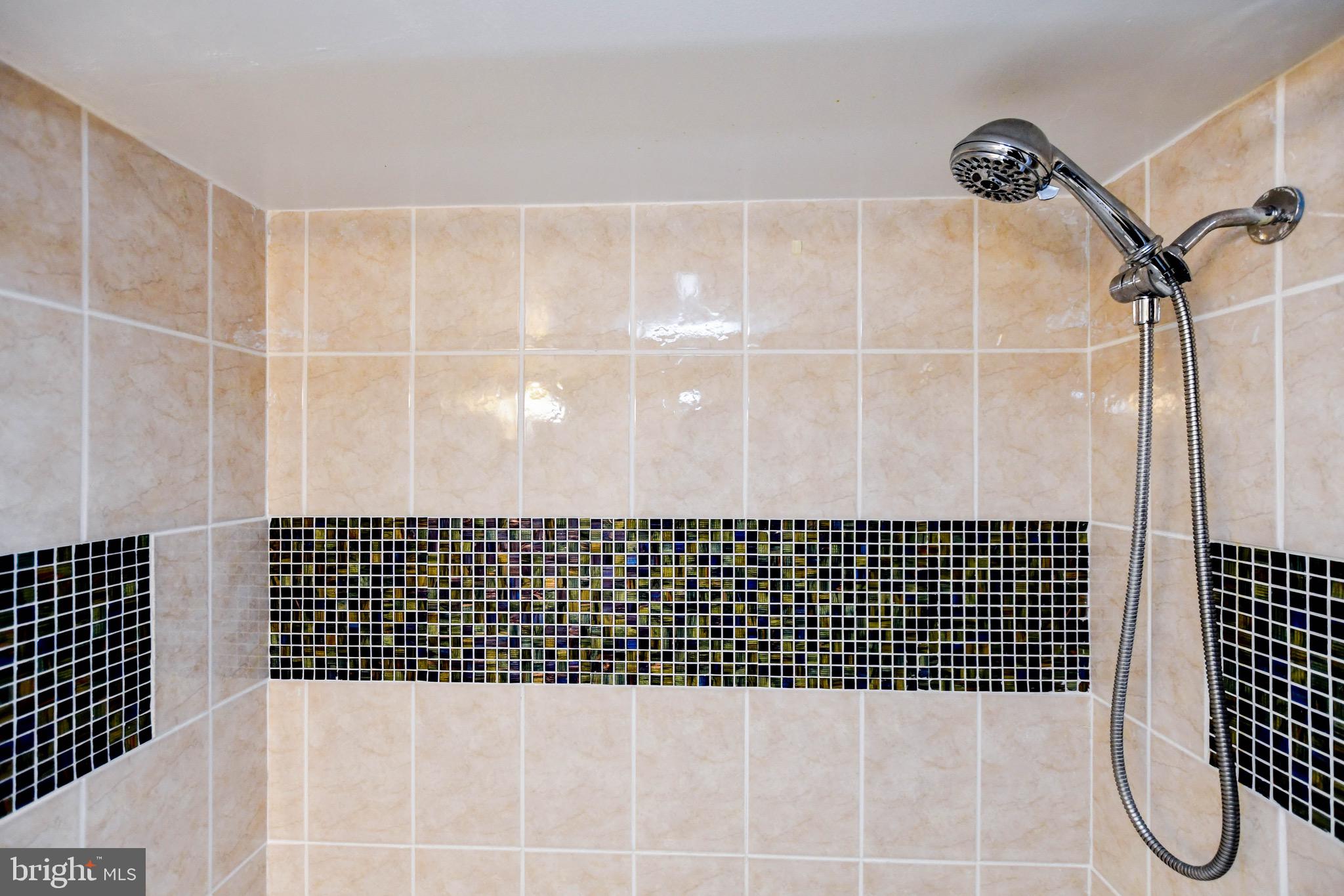 3904 Bel Pre Road, Unit 4 Silver Spring, MD 20906 - Photo 17 of 20 Master bathroom