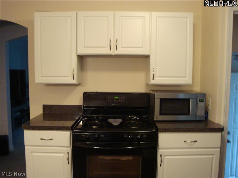 4543 East Berwald Road Cleveland, OH 44121 - Photo 3 of 21 KITCHEN..ADDITIONAL CABINETS