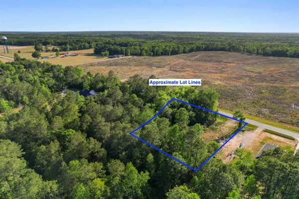 $65,000 | Tbd Lot 3 Tbd Highway, Conway, SC 29527