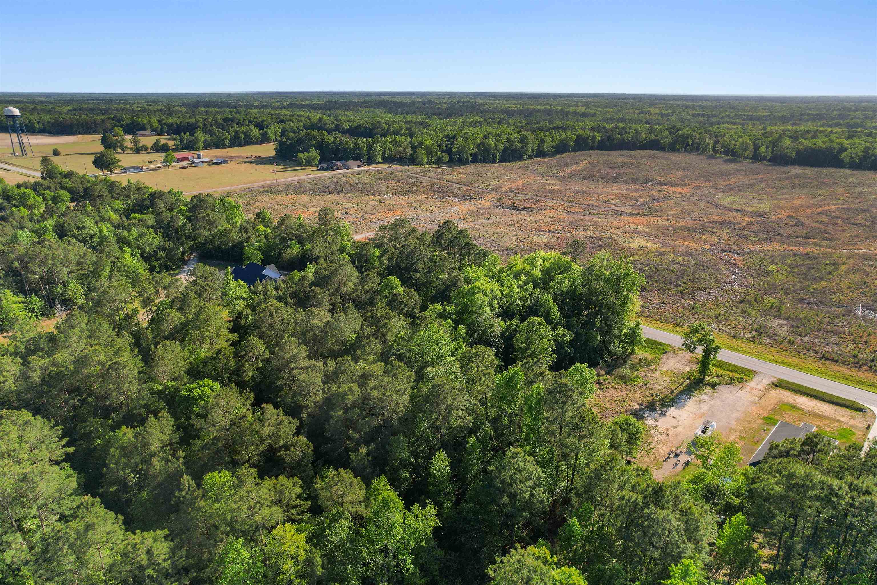 Tbd Lot 3 Tbd Highway Conway, SC 29527 - Photo 10 of 19