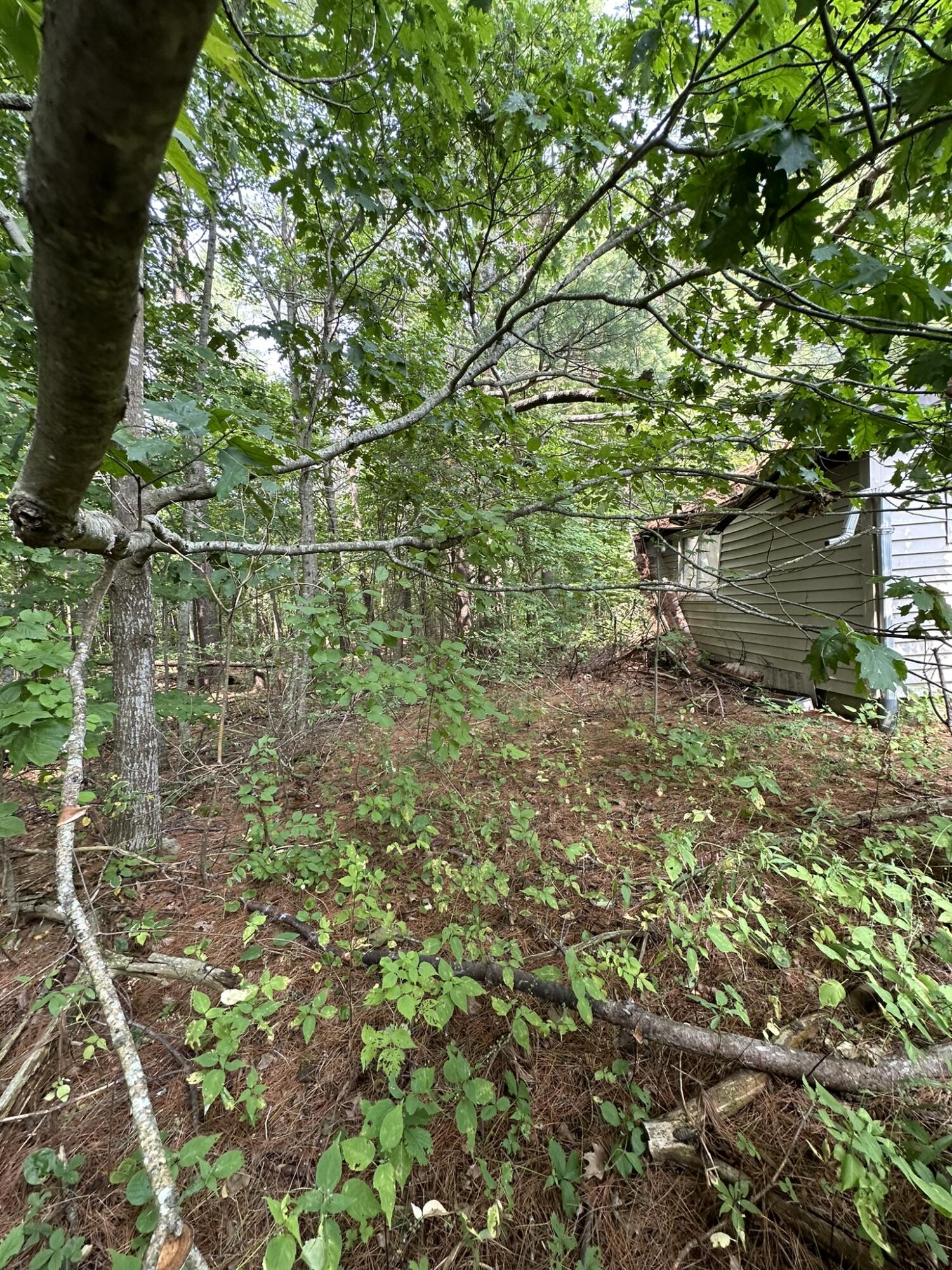 26 Benner Lane Nobleboro, ME 04555 - Photo 24 of 25 IMG_5580