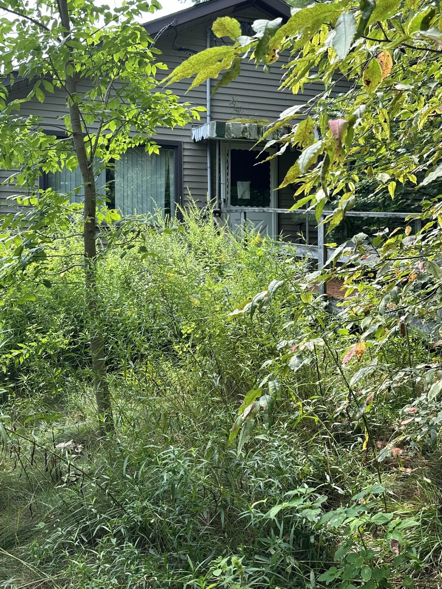 26 Benner Lane Nobleboro, ME 04555 - Photo 9 of 25 IMG_5557