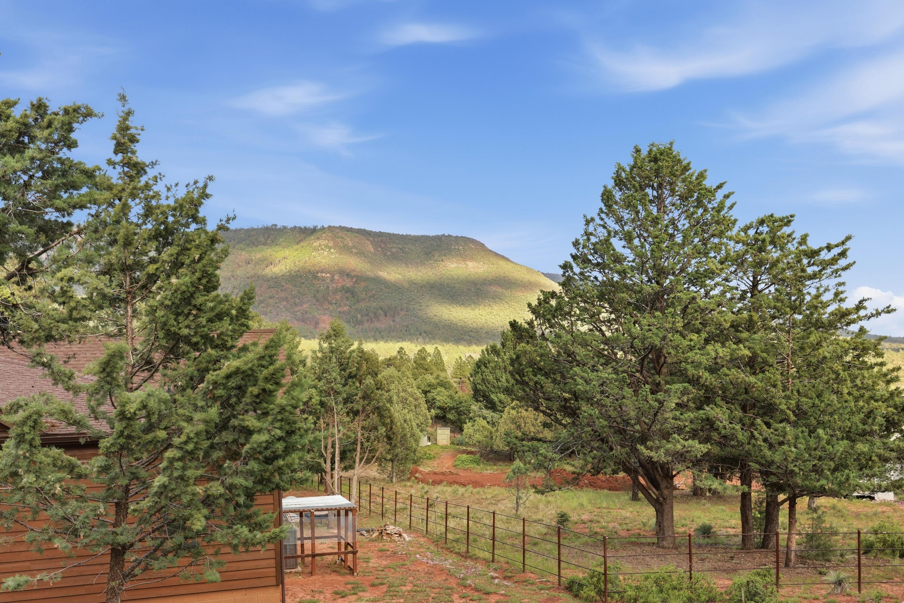 6191 Hidden Pines Loop Pine, AZ 85544 - Photo 27 of 35