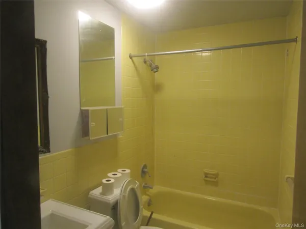 a bathroom with a shower and a toilet
