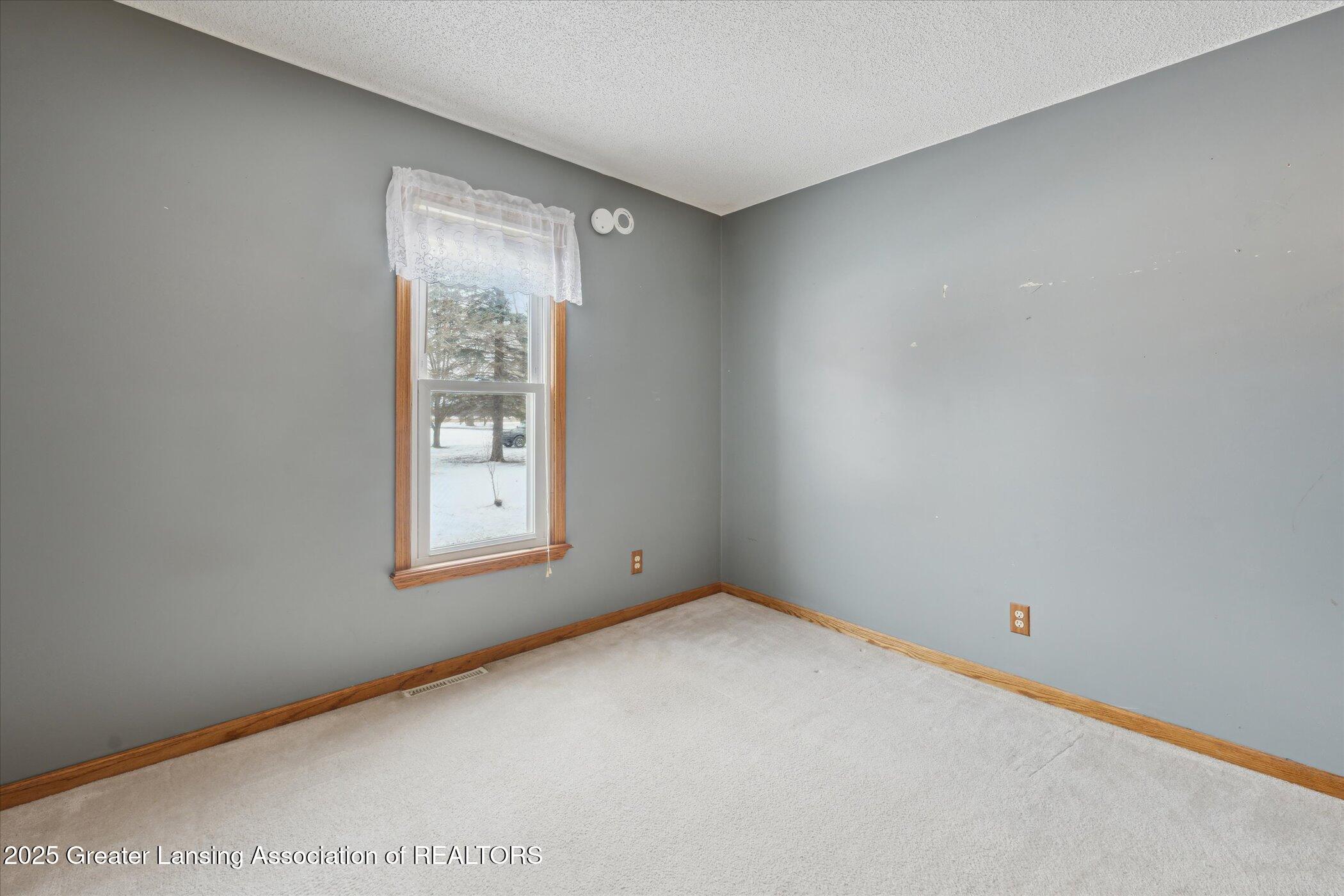 6307 North Watson Road Elsie, MI 48831 - Photo 22 of 53 22-6307-N-Watson-Rd-Elsie-MI-48831-Windo