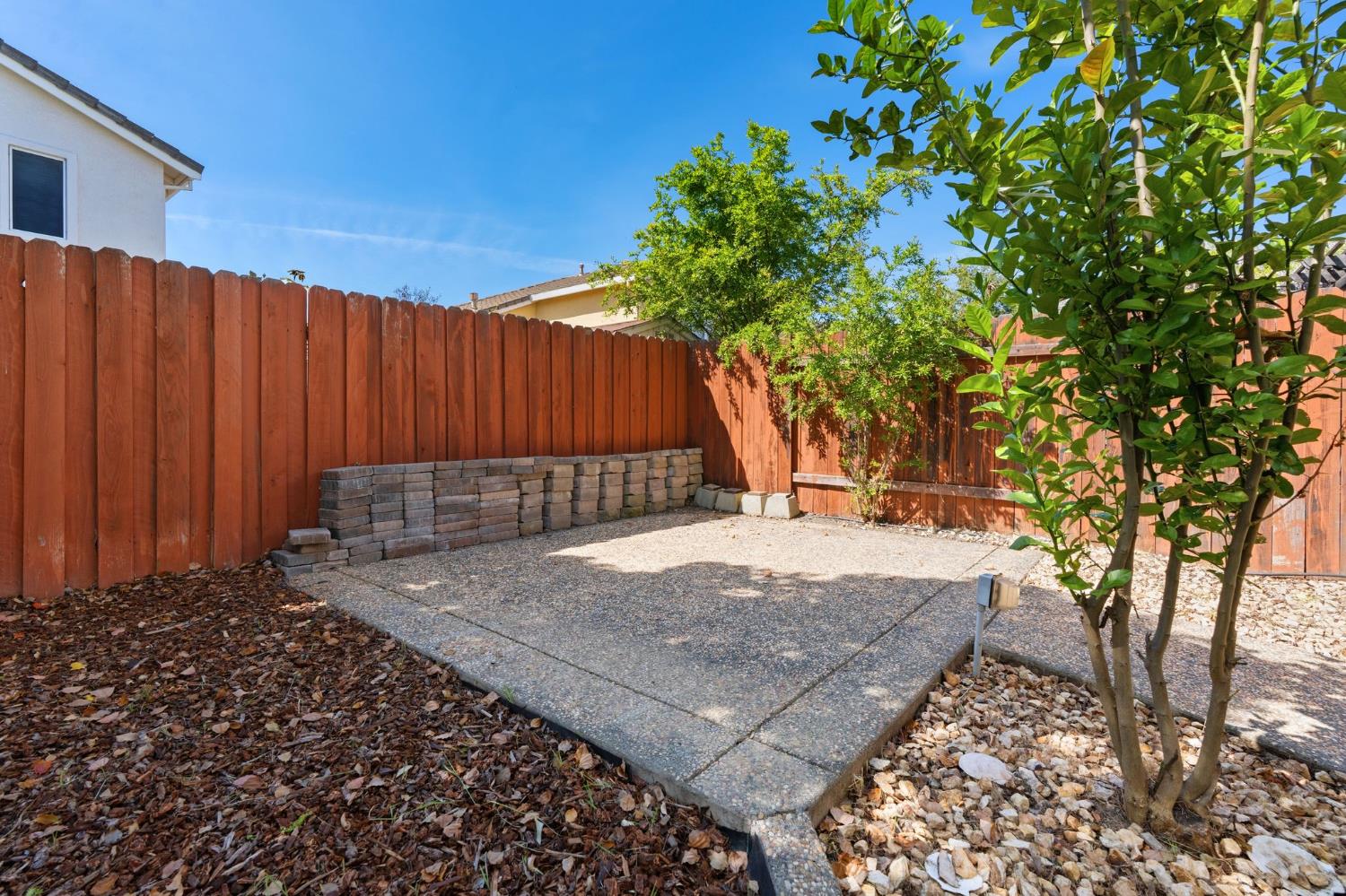 2603 Bellows Street Davis, CA 95618 - Photo 41 of 50 a view of backyard with wooden fence and large trees