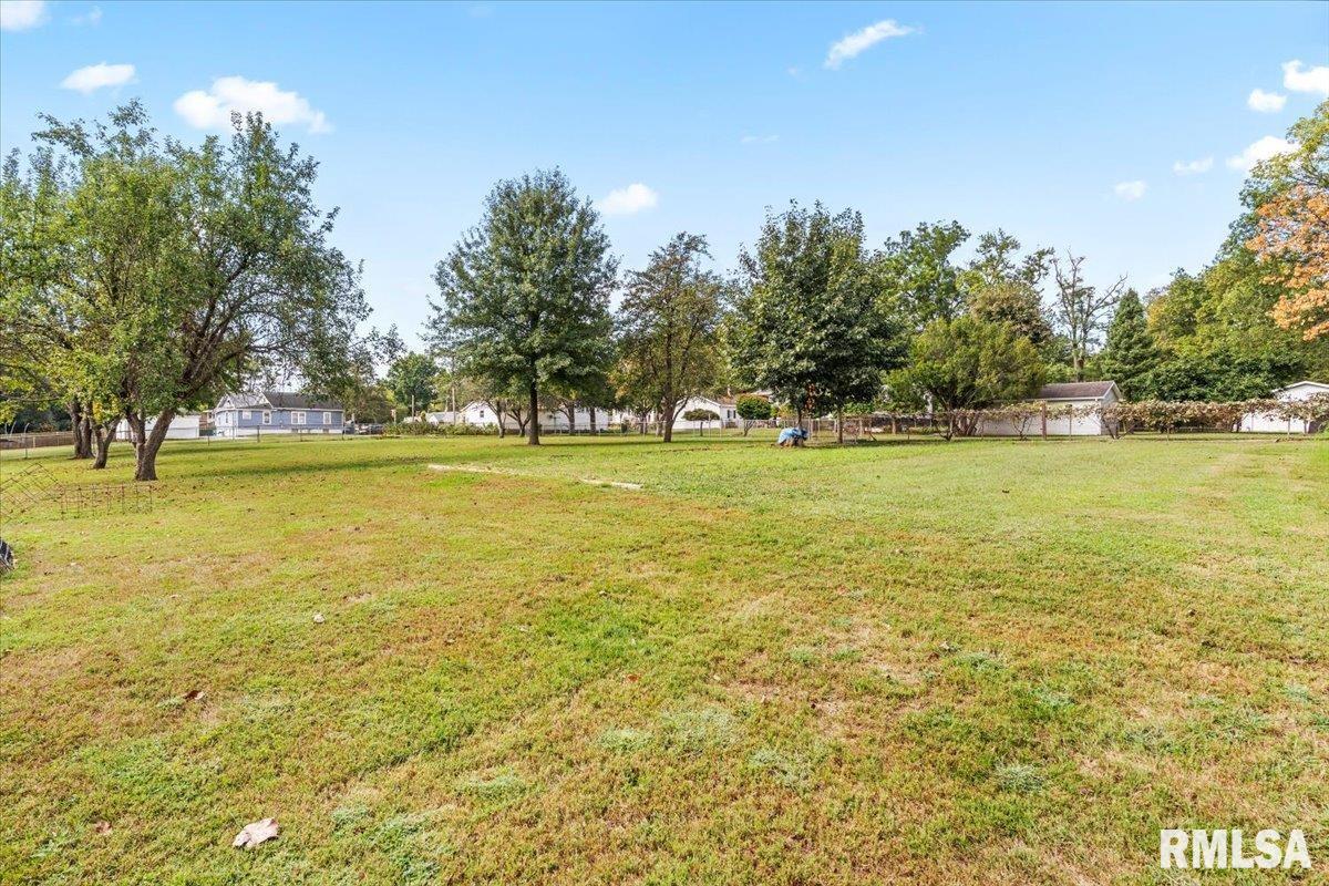 3608 Magdalena Street Springfield, IL 62707 - Photo 40 of 41