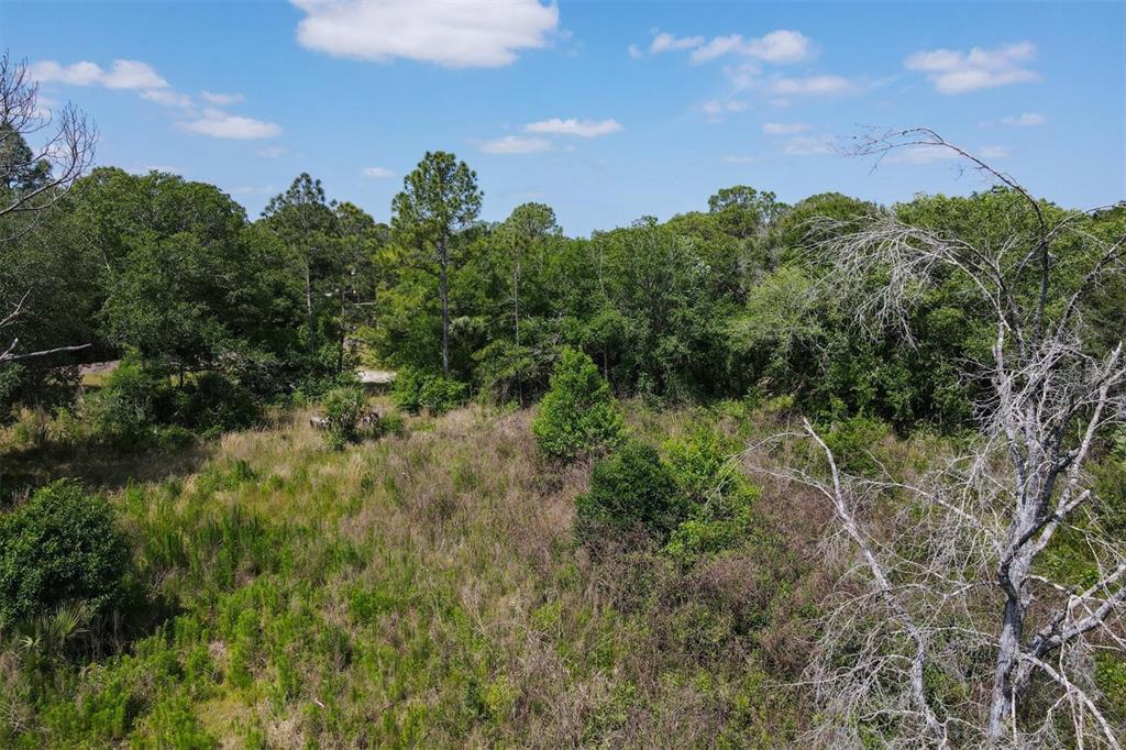 1729 Shenandoah Road Wimauma, FL 33598 - Photo 21 of 22