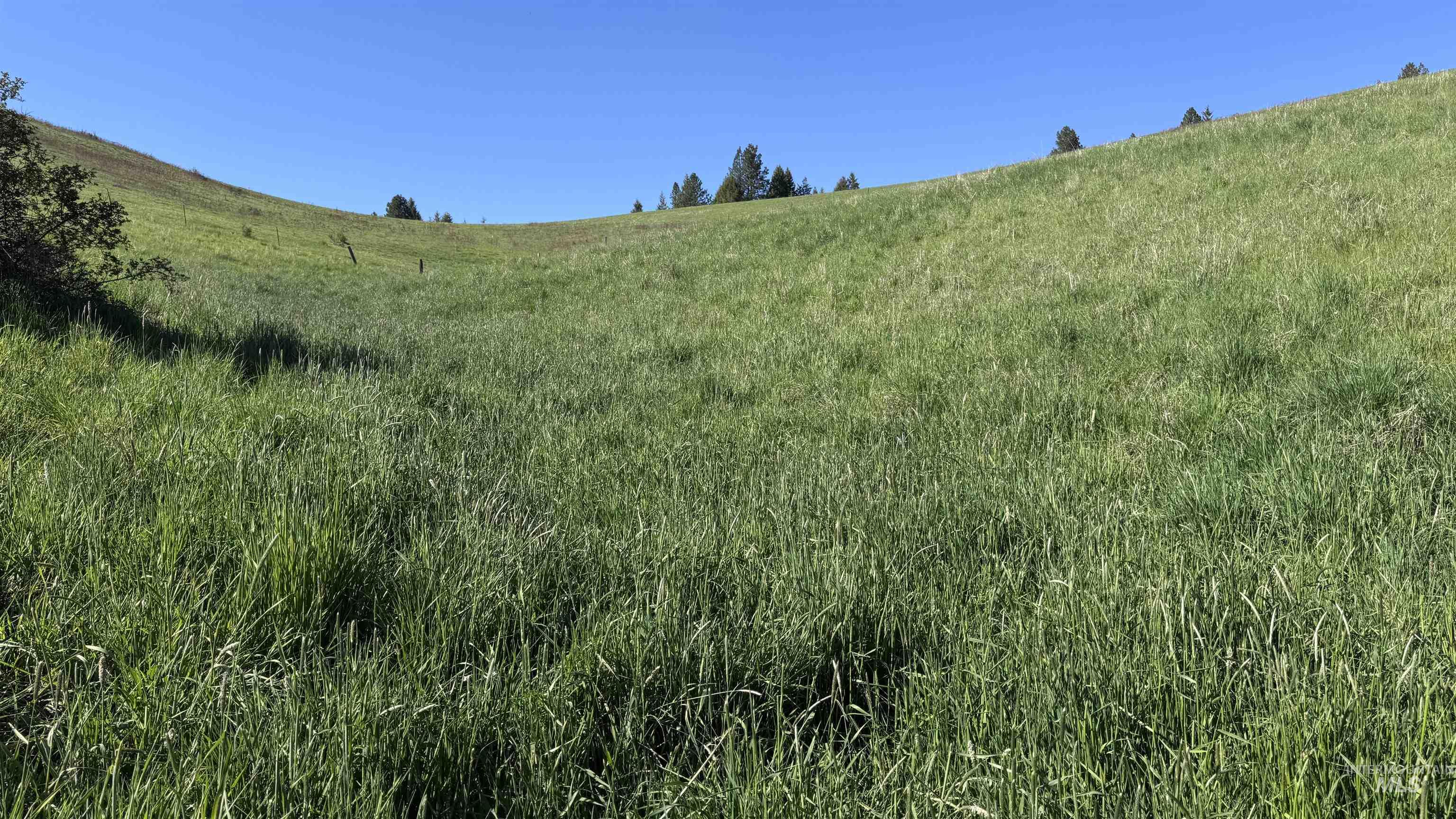Tbd Harrisburg Road Kamiah, ID 83536 - Photo 19 of 50