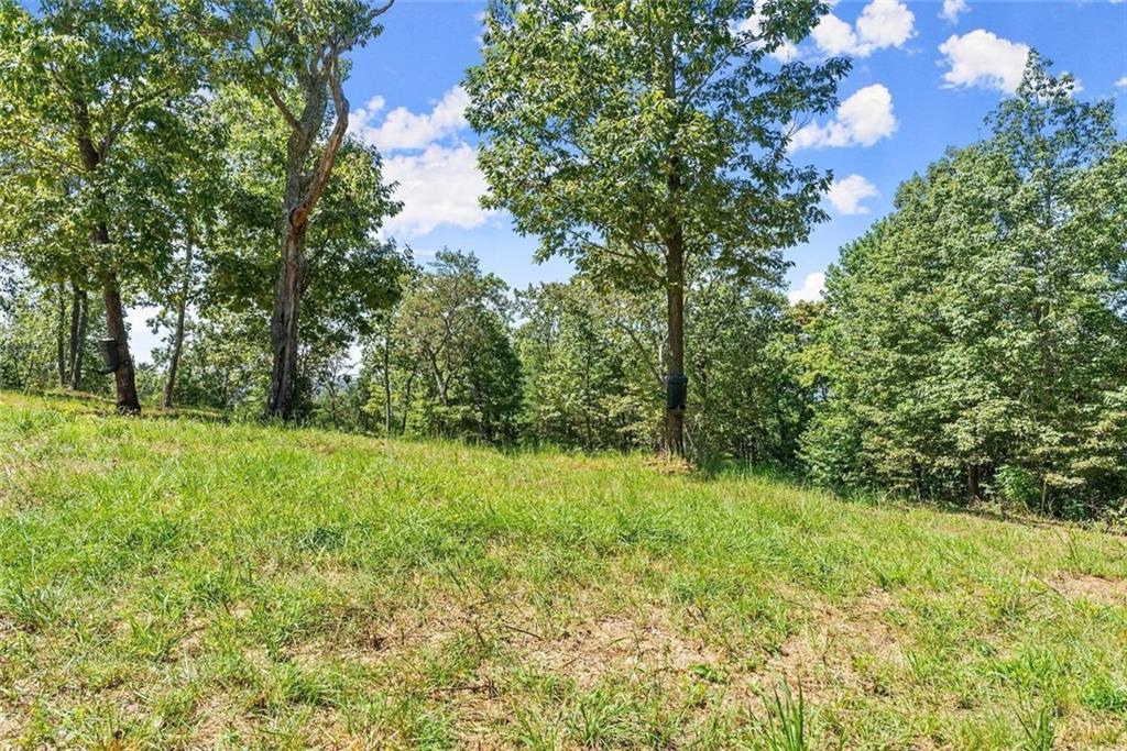 0 Helton Road Cleveland, GA 30528 - Photo 21 of 79 Gallery Image 21