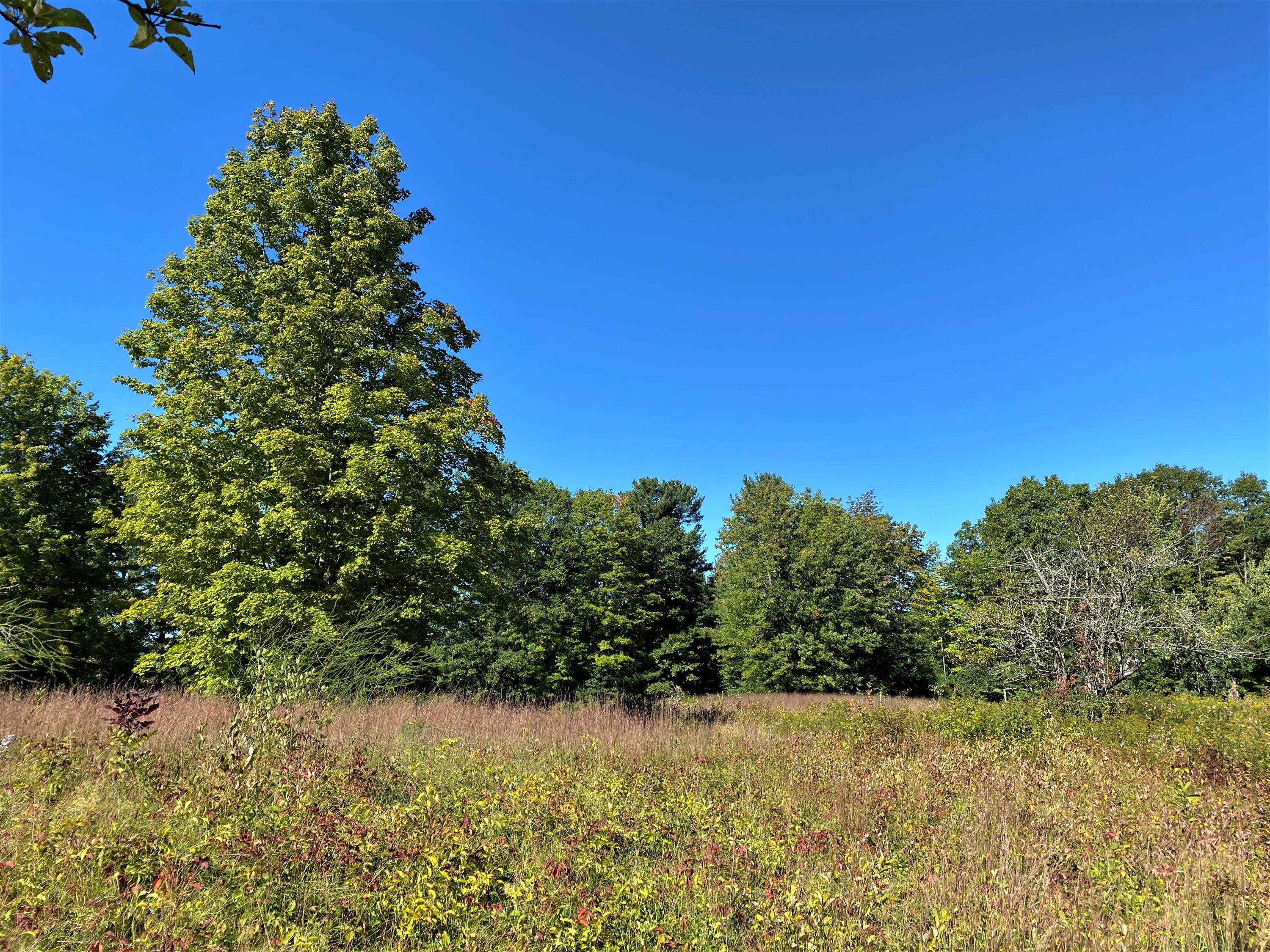 Lot 12 Libby Road West Newfield, ME 04095 - Photo 15 of 18 IMG_115965