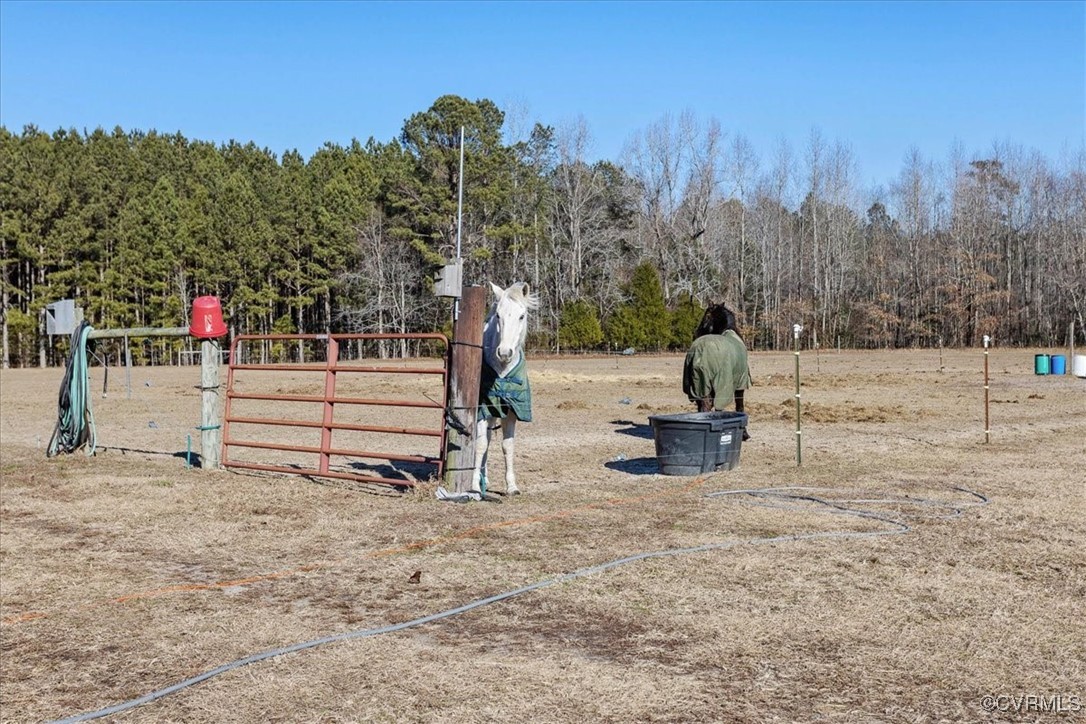 3008 New Design Road Dendron, VA 23839 - Photo 30 of 46 a view of a bench with a snow in the background