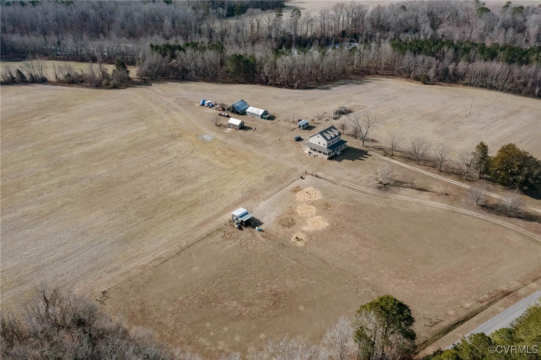 3008 New Design Road Dendron, VA 23839 - Photo 42 of 46 a view of a dry field with trees