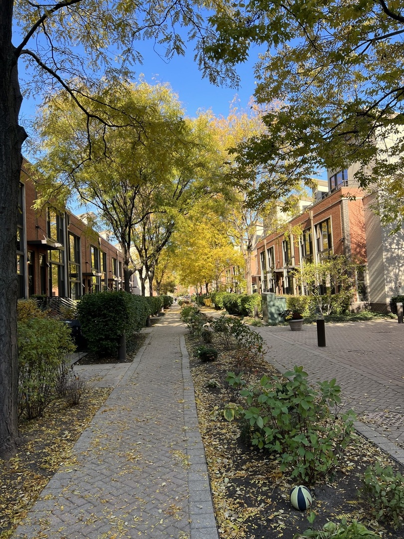 908 North Howe Street Chicago, IL 60610 - Photo 25 of 25 a city view with tall buildings and a park
