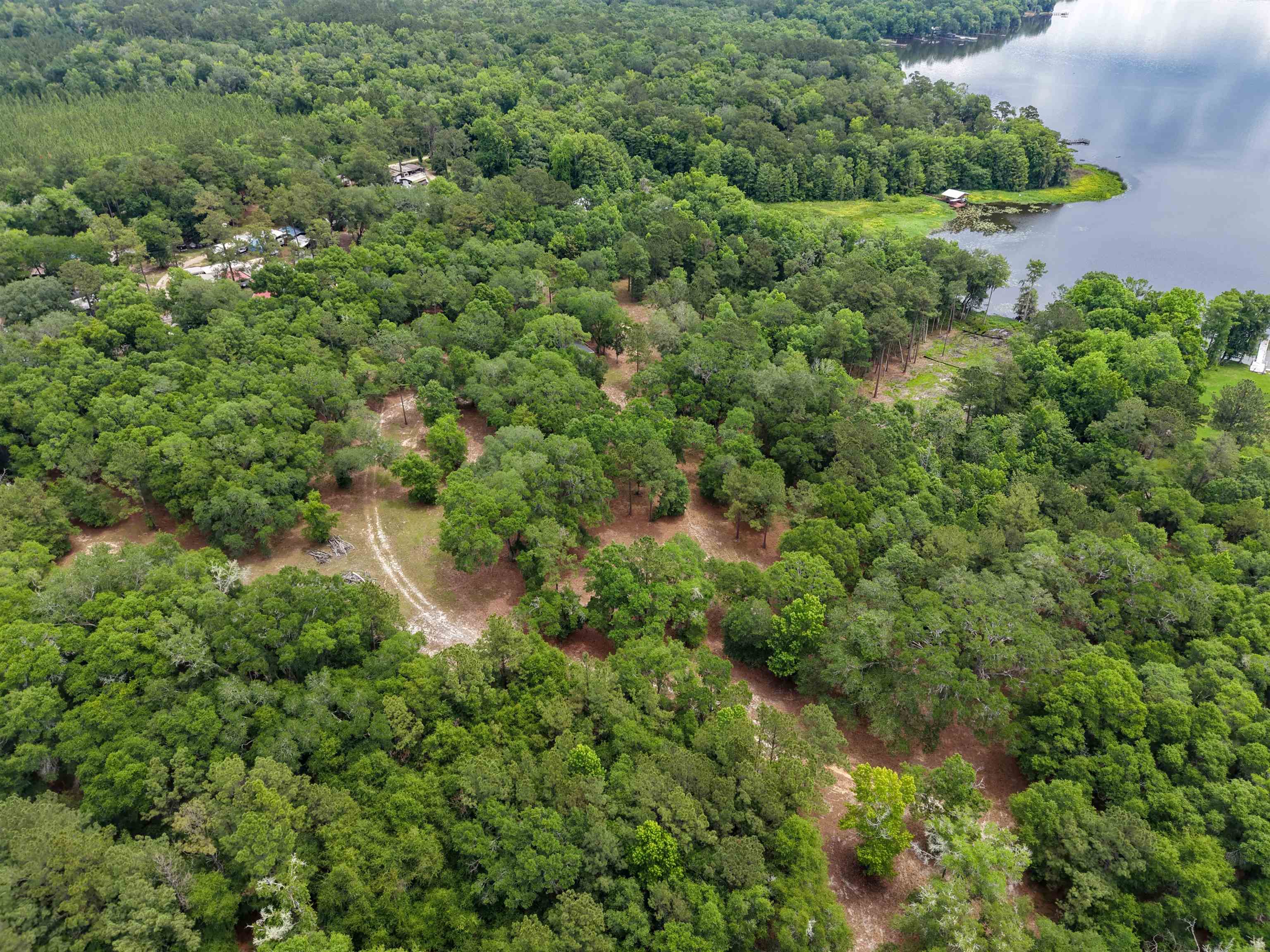 4013 McCall Bridge Road Quincy, FL 32351 - Photo 26 of 37