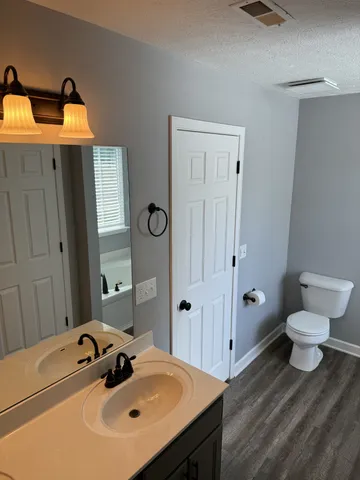 a bathroom with a sink and a toilet