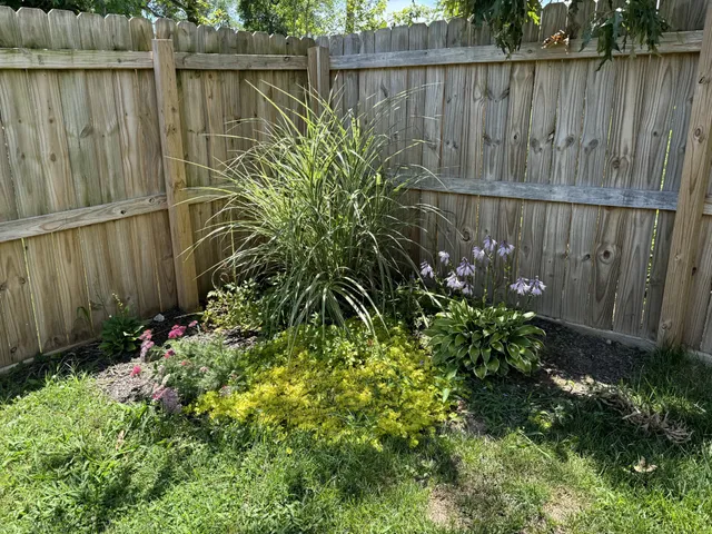 a garden with plants in front of it
