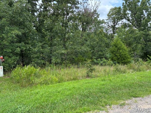 Lot 31 West Hickory Ridge Road Steelville, MO 65565 - Photo 4 of 8 Gallery Image 4