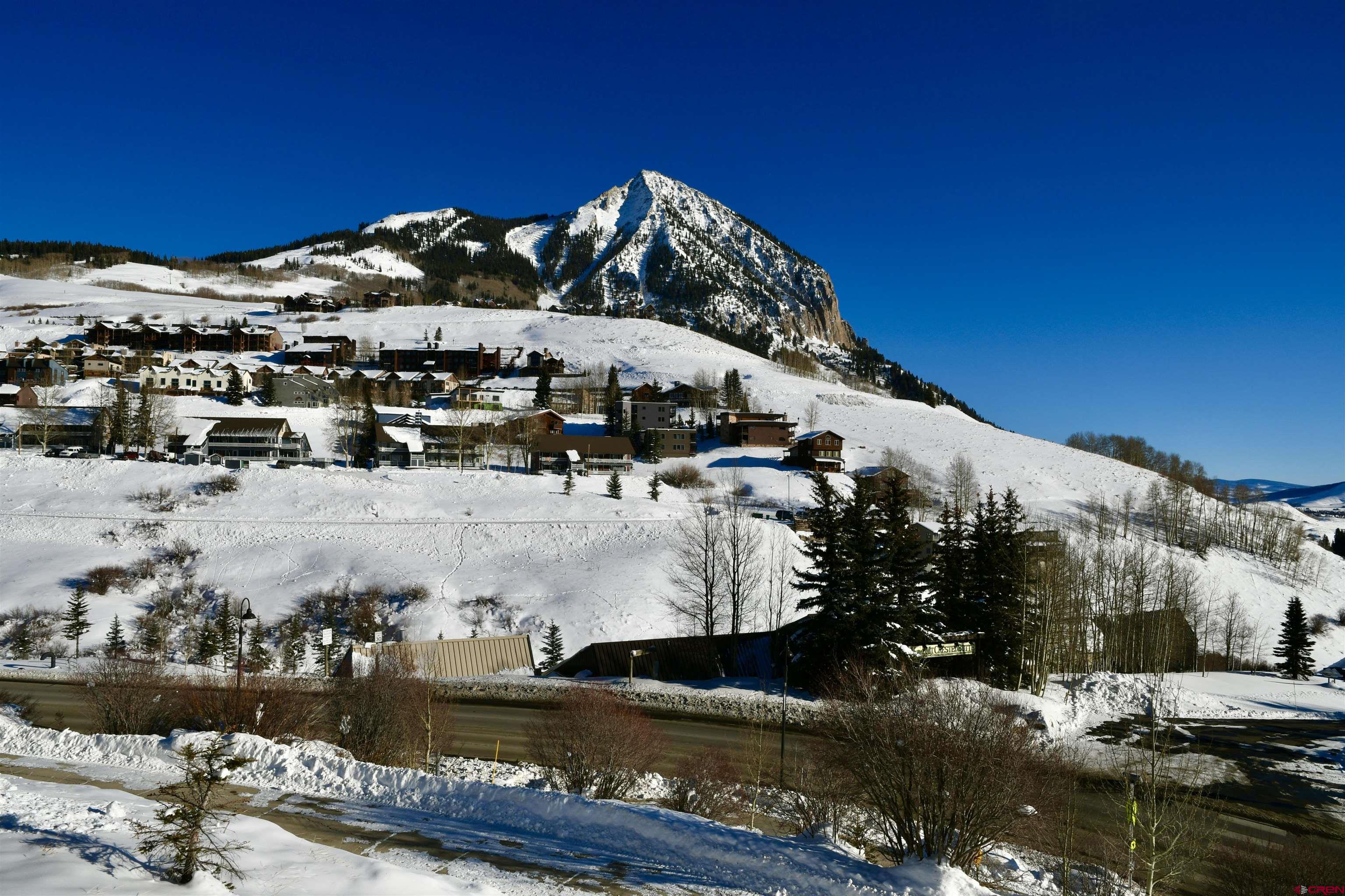 320 Horseshoe Crested Butte, CO 81225 - Photo 12 of 34 a view of a house with a yard