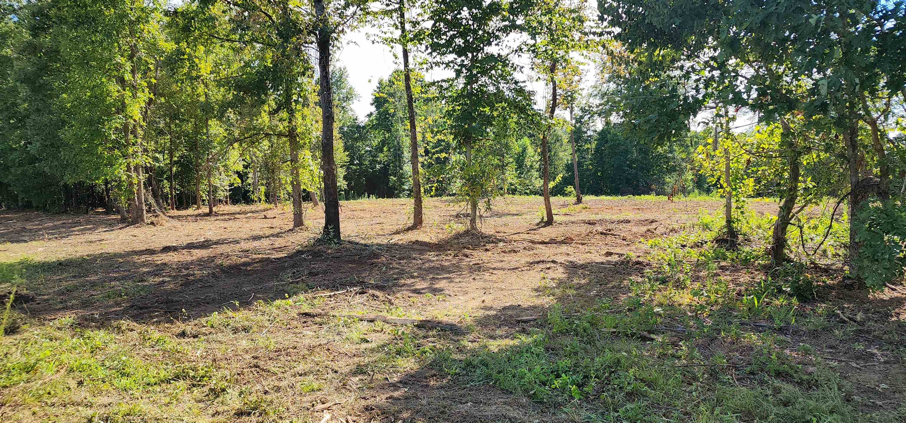 Lot 2 Poors Ford Road Rutherfordton, NC 28139 - Photo 12 of 29