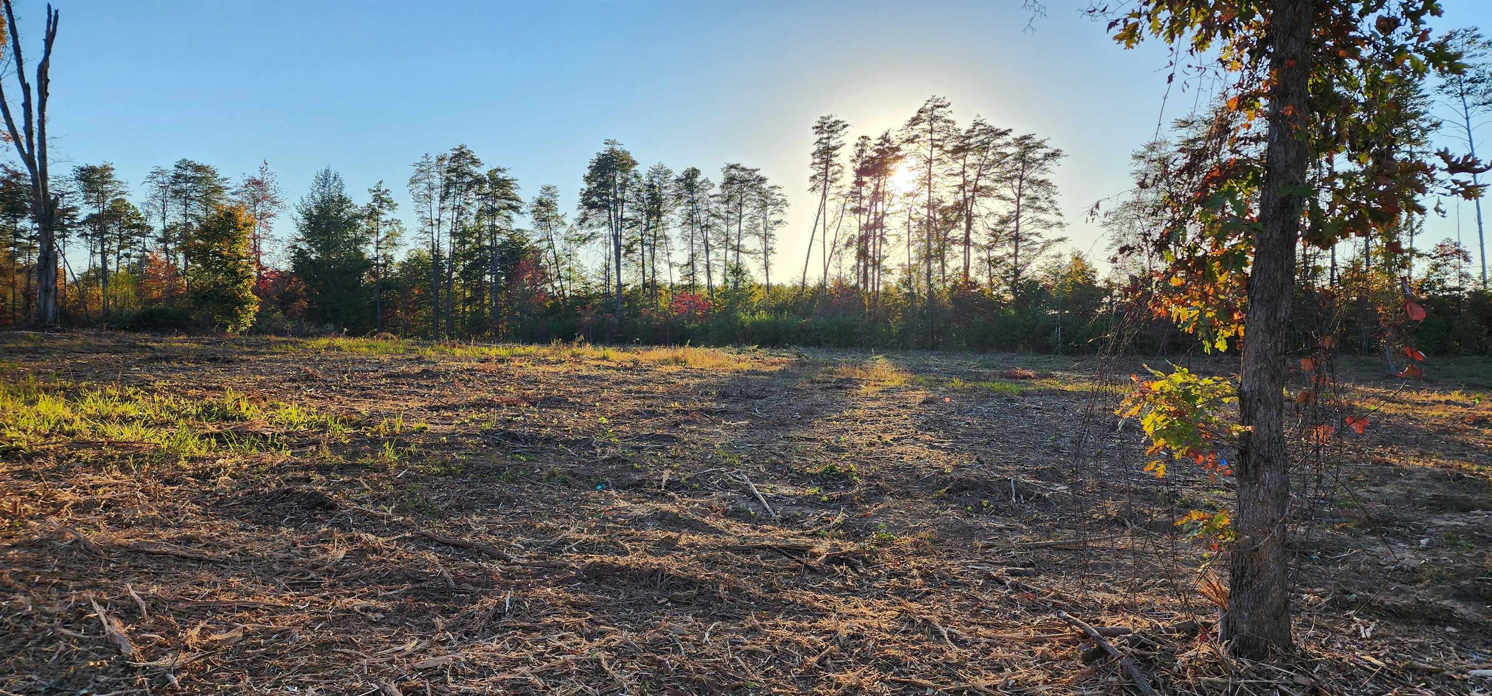 Lot 2 Poors Ford Road Rutherfordton, NC 28139 - Photo 14 of 29