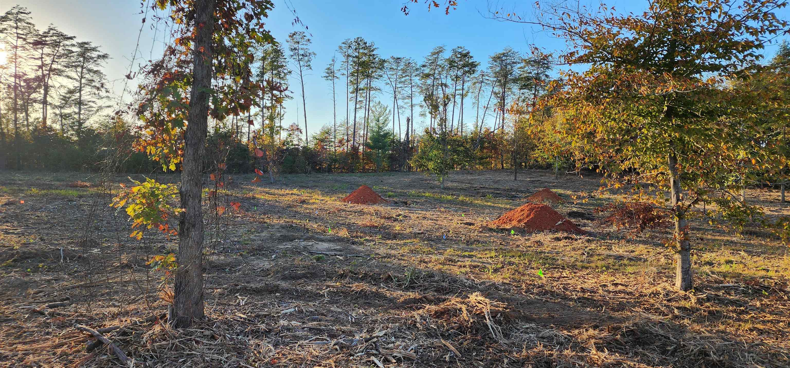 Lot 2 Poors Ford Road Rutherfordton, NC 28139 - Photo 15 of 29